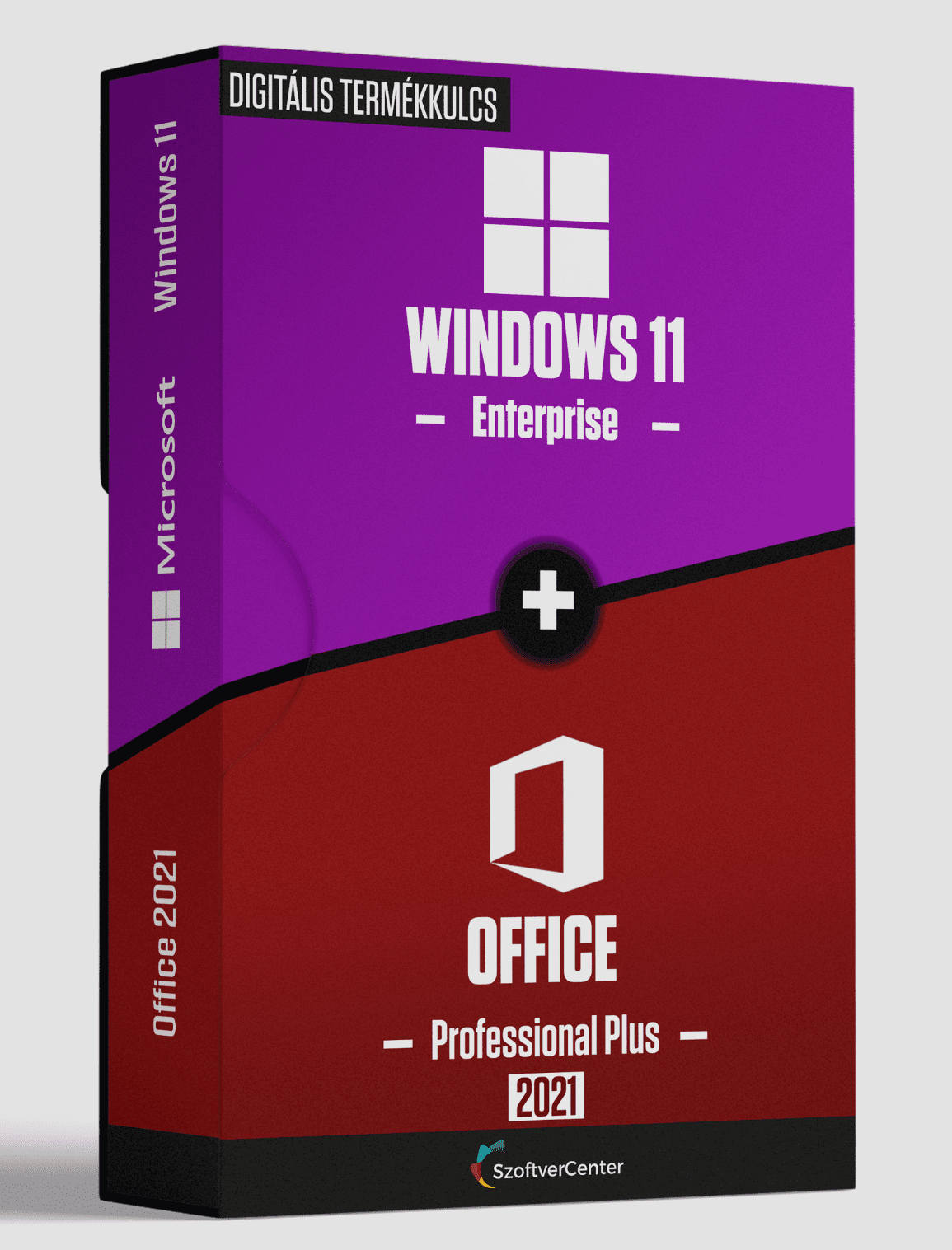 Windows 11 Enterprise + Office Professional Plus 2021