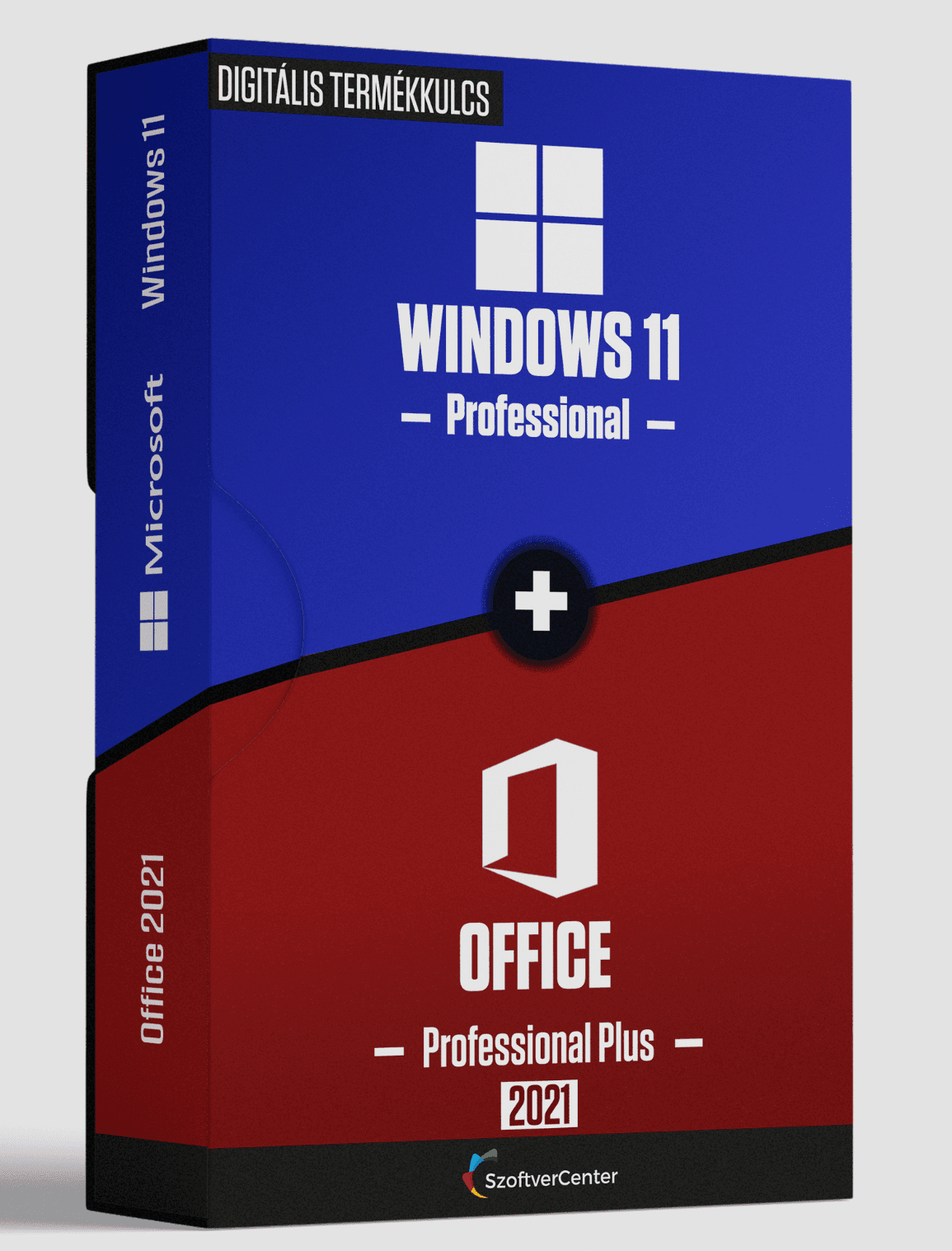 Windows 11 Professional + Office Professional Plus 2021